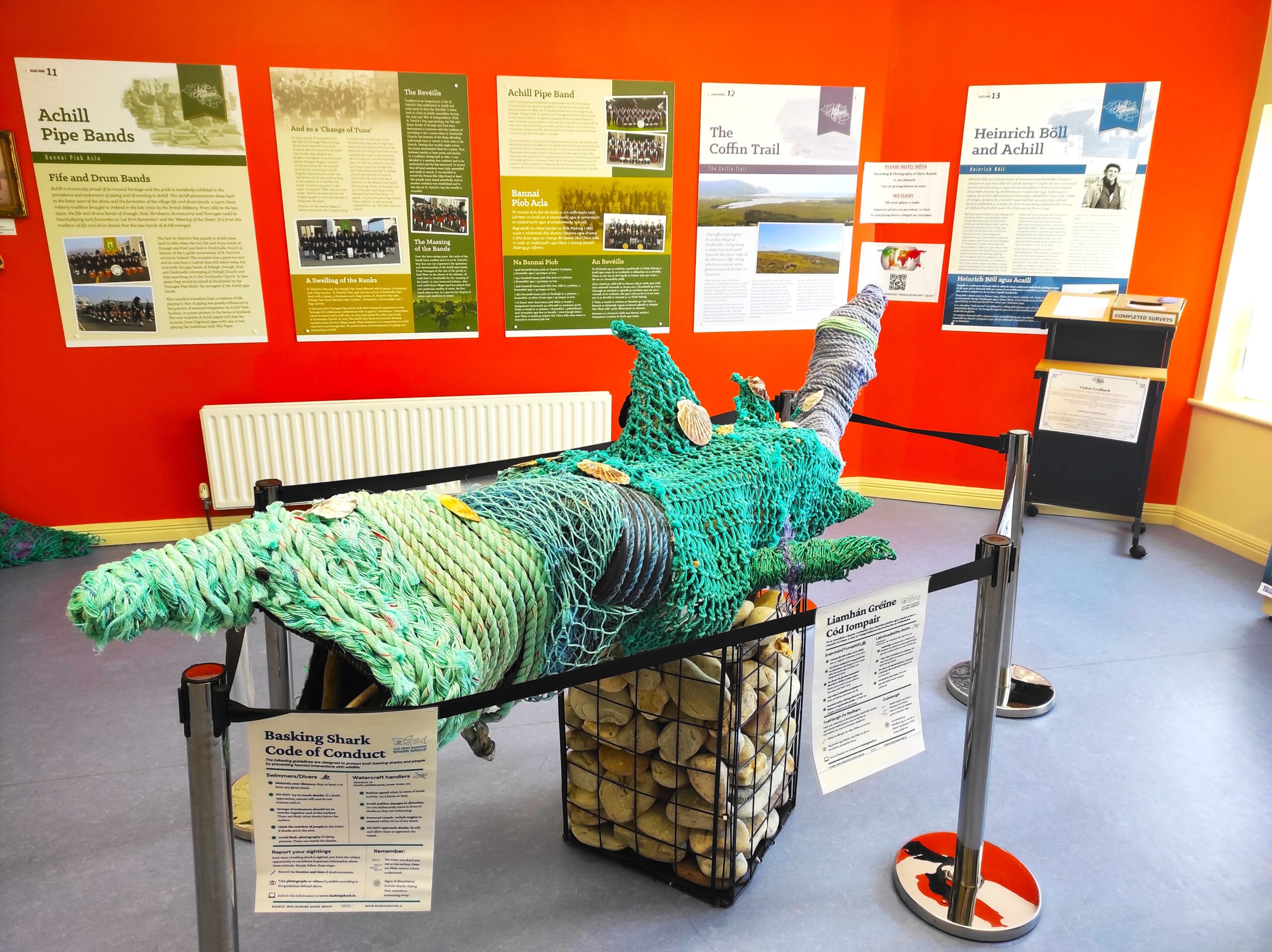 shark room 2