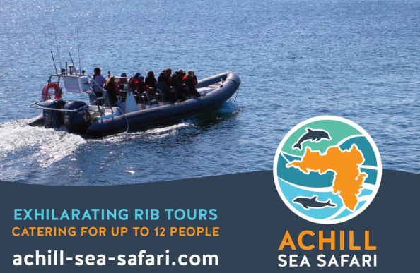 Achill Sea Safari